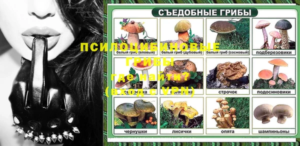 гидра Абинск